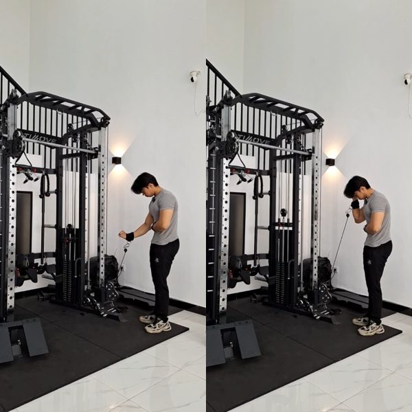 Bicep - Reverse Bicep Curl